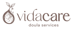 Vida Care Doula Services